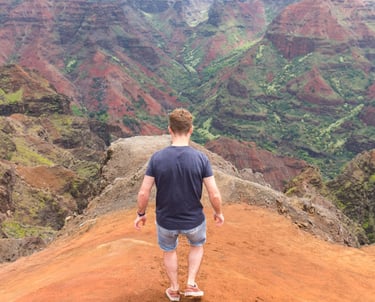 Vue sur le Waimea Canyon à Kauai