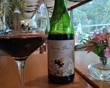 Vinho sul-africano Busy Bee Pinotage. Foto: Rafael Carvalho Lima/ Revista Com Limão e Sal