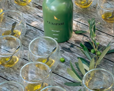 Guaspari também produz azeite de qualidade. Foto: Divulgação