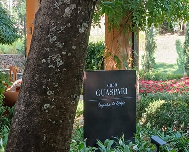 Vindima 2026 da Vinícola Guaspari. Foto: Lu Mastrorosa