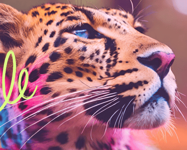 picture of a leopard in a rainbow hue to express the transformation of working with the leopard mind