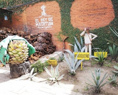 Taxi a la mezcalería