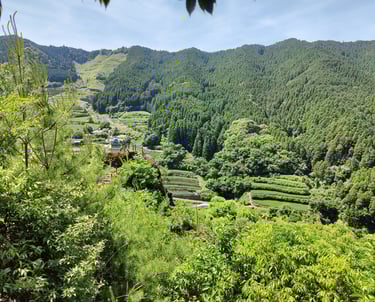 a view of a valley with a mountain in the background