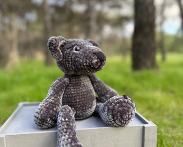 Coco, un amiguito muy especial