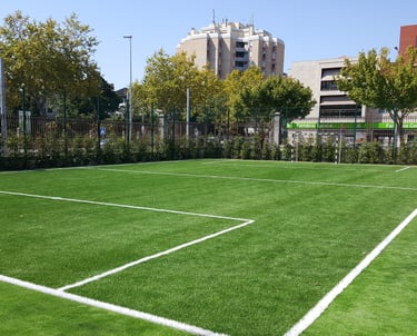 AMS | Campo Relva Sintética