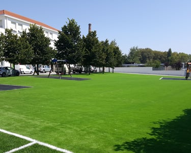 AMS | Senhora da Hora