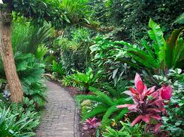 alt=entretien des jardins Nosy Be 