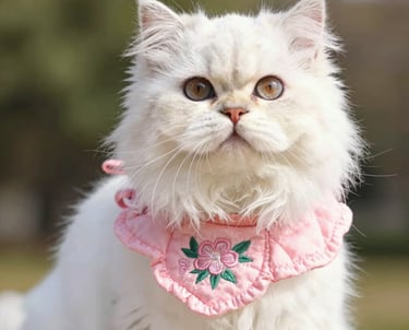 Gato persa blanco de pelo largo que lleva un accesorio de collar bordado con flores rosas