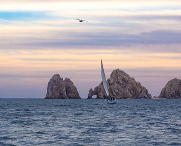 CABO DREAMS