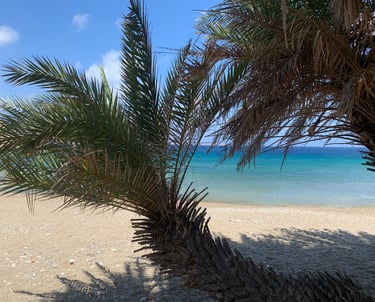 les plus belles plages du Sud-Est de la Crète Vai