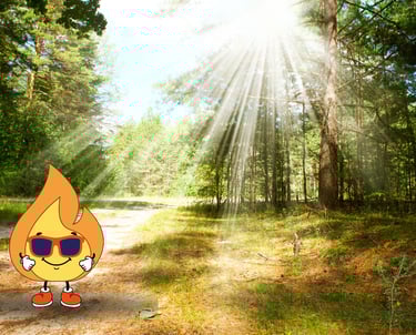 Flamme de MaxThomasBois est dans une forêt c'est la star avec ces lunette