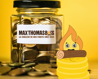 Investir avec un pot d'argent et Maxima logo de MaxThomasBois