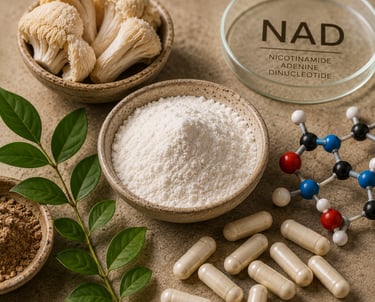 NAD supplement powder and capsules with Lion's Mane mushrooms and a molecular model for brain health.