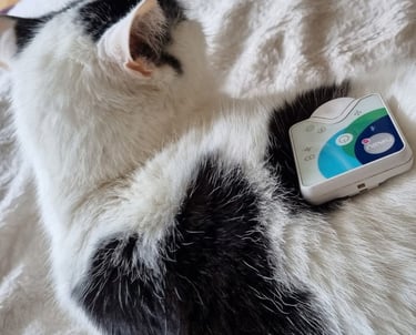 A Healy frequency therapy device resting on a sleeping black and white cat for pet wellness.