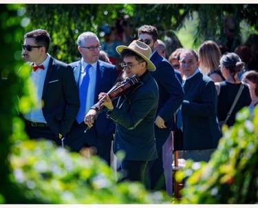 Show de violín eléctrico de Mauro Ruiz para fiestas, cócteles y eventos premium en Valencia y España