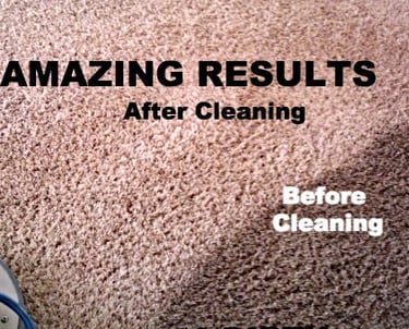 Before & After Results Photo with King Organic Clean 