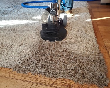 Deep Organic Carpet Cleaning With King Organic Clean
