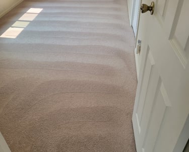Beautiful, Spotless, Carpet when using King Organic Clean