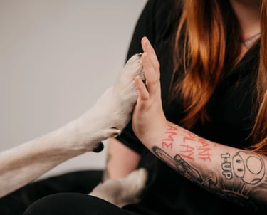 hand-und-pfote