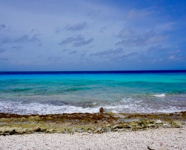 ocean view from bonaire