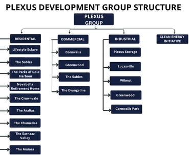 Plexus Development Group Structure and Projects 