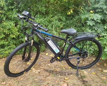 Black electric mountain bike with battery pack parked on a wooded trail.