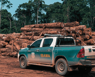 Fiscalização do IBAMA