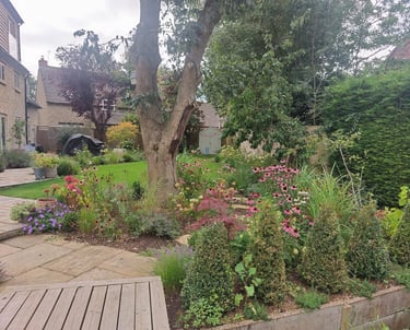Backyard flower garden featuring purple coneflowers, stone patio path, and green lawn.