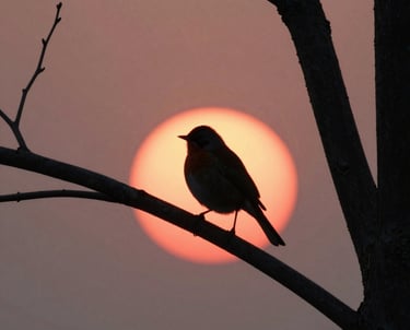 A serene sunrise over a quiet mountain, symbolizing new beginnings and spiritual awakening.