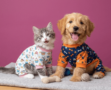 Un gatito adorable y un cachorro de golden retriever con coloridos pijamas para mascotas.