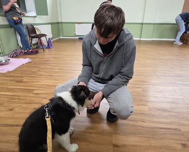 A teenager interacts with a puppy in a class setting