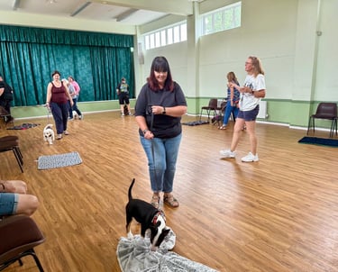 A Paw-sitive Puppy class being taught in Wollaston, Stourbridge
