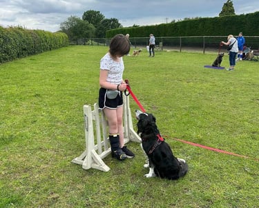 A junior trainer works with her border collie during an adolescent dog training class outdoors
