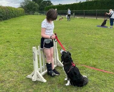 A young girl training a black and white Border Collie at an outdoor dog agility course.