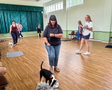 A group of people training their dogs on leashes during a professional indoor dog obedience class.