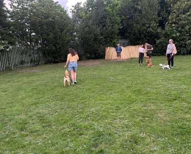 Practicing Loose lead walking during a workshop in Wollaston 