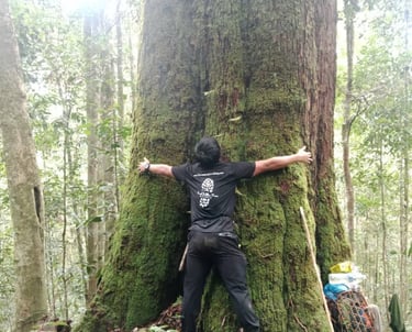 a man standing next to a giant tree