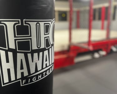 martial arts classes in kona, hawaii