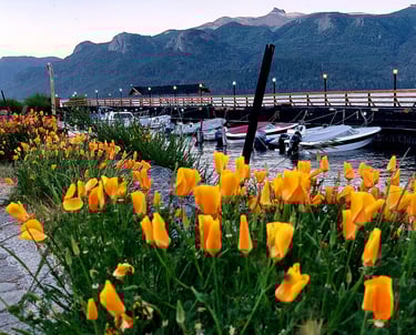 Muelle de embarcados primavera - Villa Traful