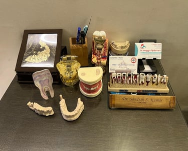 Dental clinic desk with various anatomical tooth models and jaw replicas for patient education.