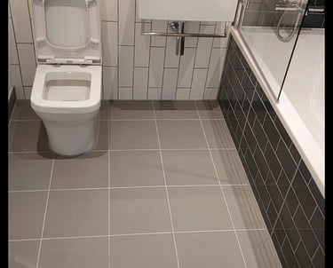 Toilet repairs-East London