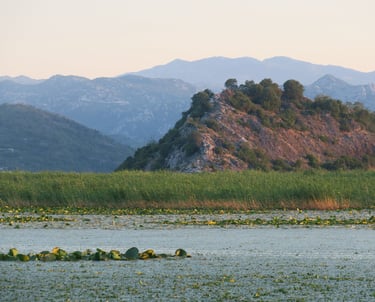 Scenic landscape of Lake Skadar featuring water lilies, lush reeds, and misty blue mountains at sunset.