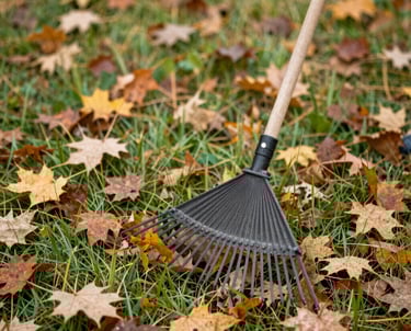 A team clearing overgrown bushes and debris from a large residential yard.