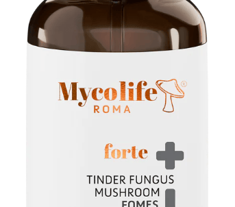 Mycolife Zunderschwamm Vitalpilz flüssig
