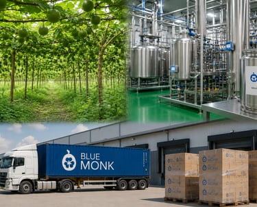 Blue Monk Global Tech