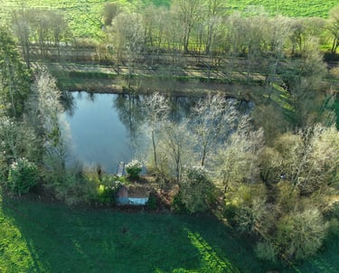 Vue aérienne d'un étang pittoresque en pleine campagne, entouré d'arbres en hiver et de champs verdo