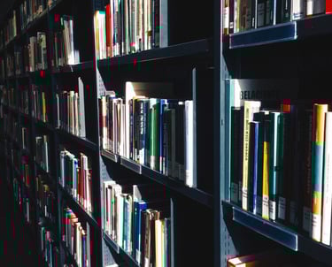 FTO Deep-Dive Support