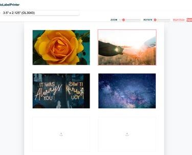A screenshot of the high-res photo label web app in use, featuring 4 photos of a rose, galaxy, neon sign and hand-holding..