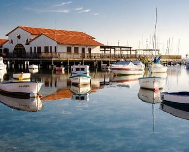 Residential area and beach in Los Alcazares, Mar Menor
