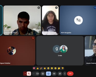 Screenshot of a professional virtual meeting on Google Meet with multiple participants in a grid view.